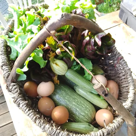 Valle Incantata - Farm And Lab Farm stay