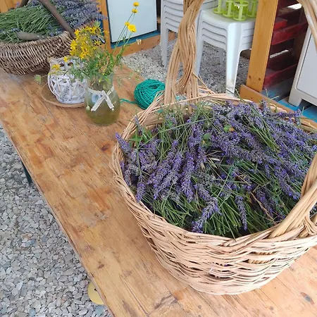 Κατάλυμα σε φάρμα Valle Incantata - Farm And Lab