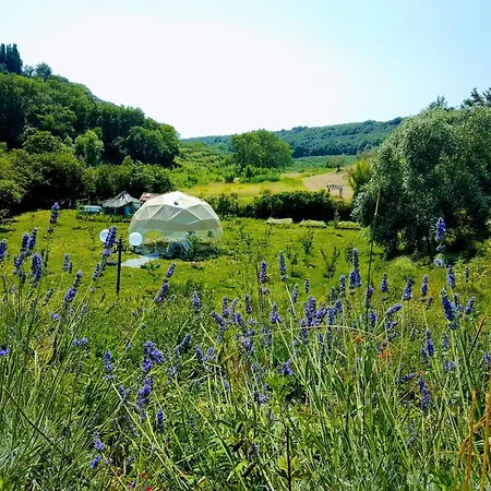 Valle Incantata - Farm And Lab Farm stay *